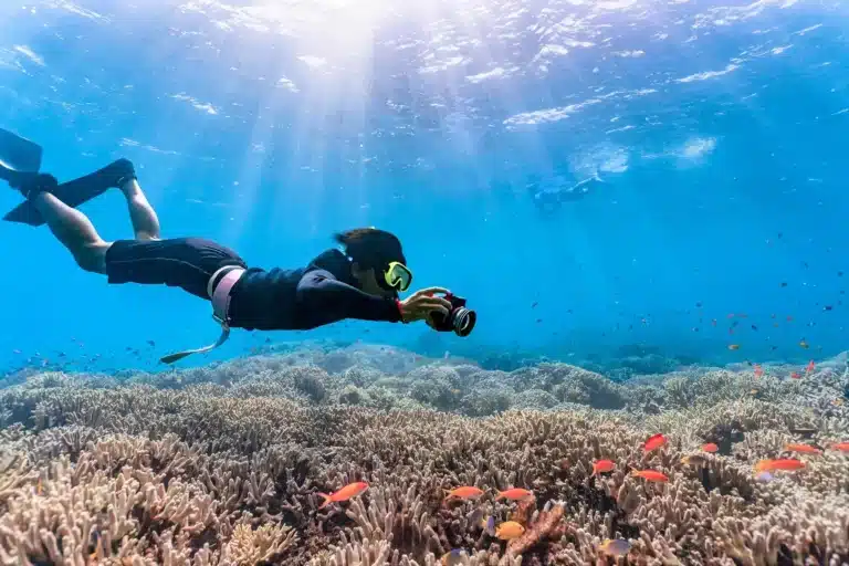 Die schönsten Inseln auf den Seychellen