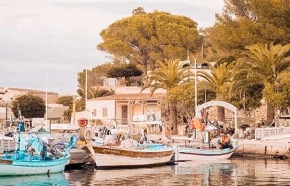 Eine ruhige Hafenszene mit mehreren traditionellen Booten und Segelyachten, die an einem Dock vertäut sind, umrahmt von üppigen grünen Bäumen und malerischen Küstengebäuden unter einem sanften, goldenen Himmel.