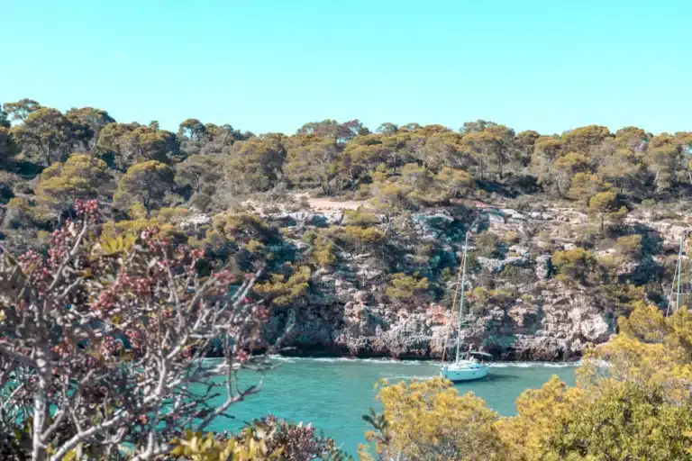 Eine ruhige Küstenszene mit einer weißen Segelyacht, die unter einem klaren blauen Himmel in der Nähe einer felsigen, baumbestandenen Klippe schwimmt. Kräftiges grünes Laub umrahmt das türkisfarbene Wasser der Bucht.
