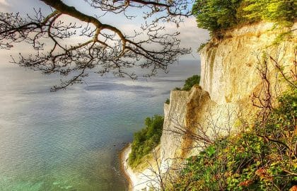 Eine malerische Aussicht auf eine Kreidefelsen mit Blick auf ein ruhiges Meer, mit üppigem Grün und einem Ast, der den oberen Bildrand umrahmt. Am Fuße der Klippe ist ein sonnenbeschienener Kieselstrand zu sehen.