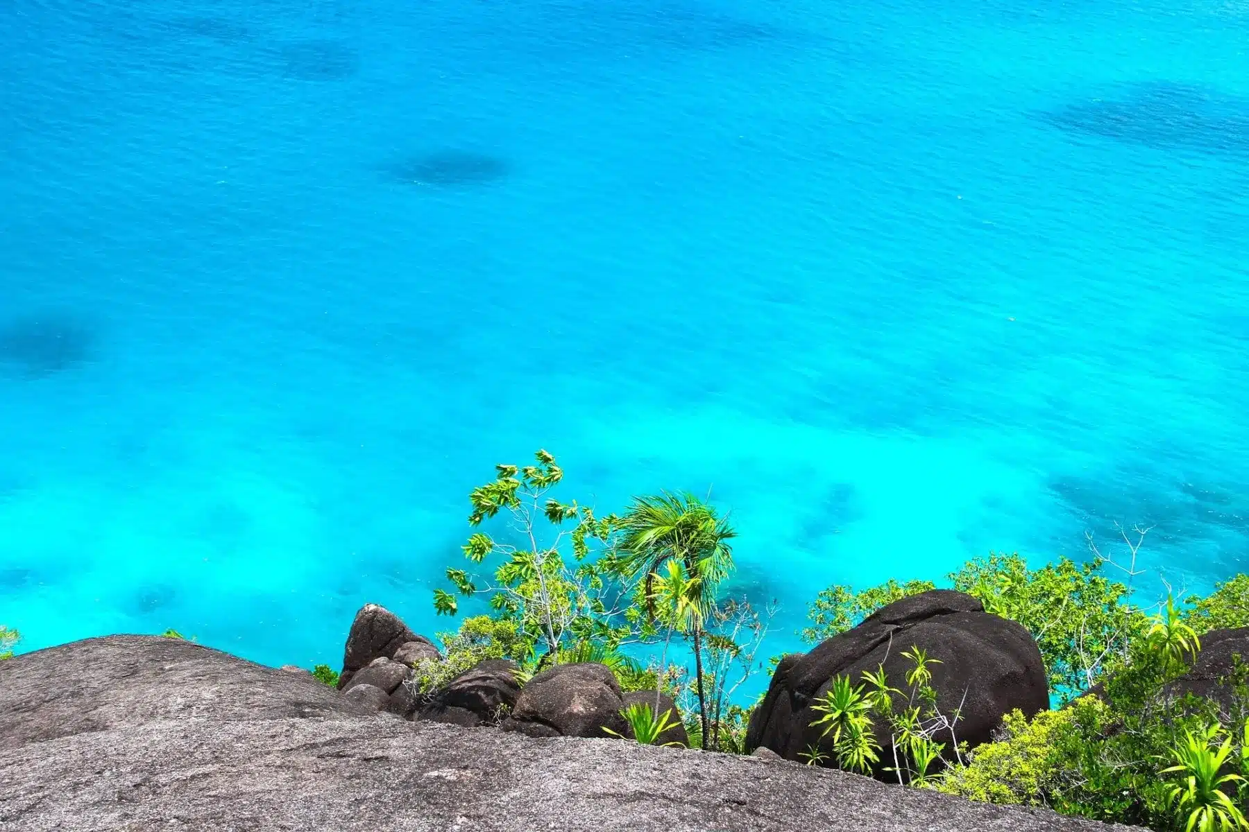 Luftaufnahme eines klaren, türkisfarbenen Meeres von einer Felsklippe mit üppiger grüner Vegetation, perfekt für einen Segelurlaub.