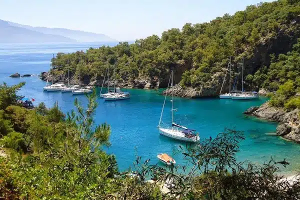 Eine ruhige Bucht mit leuchtend türkisfarbenem Wasser, umgeben von üppigem Grün. Mehrere Segelyachten liegen in Ufernähe vor Anker. In der Ferne sind Hügel und eine schwache Küstenlinie zu erkennen.
