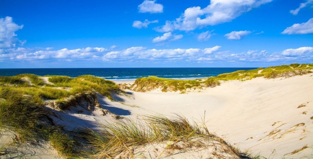 Durch Sanddünen schlendern auf Deinem Mitsegelntörn in der Ostsee | sailwithus Ostsee