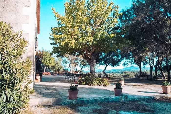 große Bäume mit Meer im Hintergrund, spanische Architektur