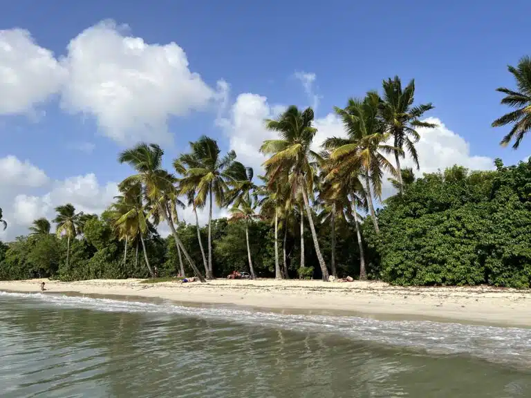 Tier- und Pflanzenwelt im Urlaub: Entdeckungen beim Segeln